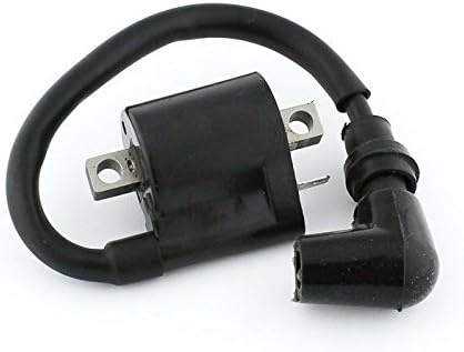 Isell Electronic Ignition Coil Fit For 150-250cc Chinese brands ATVs, Go karts, UTVs and scooters such as TaoTao, Buyang, Coolsport, Lifan, Kazuma, SUNL, Honda, Redcat, Eagle