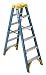 Werner T6006 6-Foot 250-Pound Duty Rating Fiberglass Twin Stepladder
