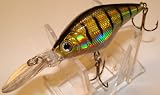 M11 Custom Shad Bass Fishing Lure Plug Crankbait Deep Diver 41MaKmLYV%2BL. SL160 M11 Custom Shad Bass Fishing Lure Plug Crankbait Deep Diver