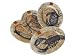 Capiz Sea Theme Platter 4 Asstd 15-3/4 X 12 X 0-1/2 Set Of 4