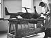 All Products : 6th Century BC Statue of Apollo is Being Cleaned Artists Photographic Poster Print by James Burke, 30x40