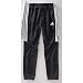 adidas Trainingshose Männer Tropheo, schwarz/weiß
