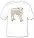 T-shirt with wool, veal, domesticated, domestic, lamm, juvenile, barnyard, livestock,...