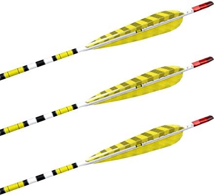 Lehang8899 Craftsmans Handmade Carbon Shaft Archery Arrow Feathers F Bow Yellow Color 80cm pack of 24