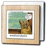 Woodchuck Physics - 6 Inch Tile Napkin Holder