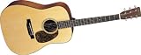 Martin D-18V Acoustic Guitar