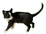 Black and White Collectable Cat - Leonardo Boxed Gift Idea - NEW!