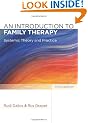 An Introduction to Family Therapy: Systemic Theory and Practice