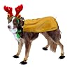 Kyjen Dog Reindeer Suit w/Booties & Antlers, Medium