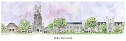 Duke University - Collegiate Colors - 5" x 13" Framed Prints