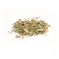 St. Johns Wort, Hypericum Perforatum Photographic Poster Print by Geoff Kidd, 48x36