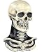 Halloween Masks - Skull 'n Bones