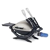 Weber Q 120 Grill