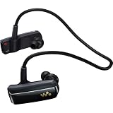 Sony 2 GB Digital Music Player (Black) 41MbkTDOTeL. SL160 Sony 2 GB Digital Music Player (Black)