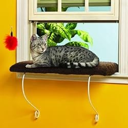 LAZY PET Deluxe Cat Window Perch Assorted Colors