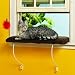 LAZY PET Deluxe Cat Window Perch Assorted Colors