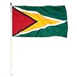 Guyana Flag 12 x 18 inch