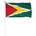 Guyana Flag 12 x 18 inch