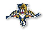 Florida Panthers Logo Pin