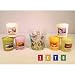 Yankee Candle – 6 Assorted Votive Samplers + Garden Crackle Votive Holder