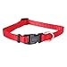 Petmate Standard Nylon Adjustable Dog Collar Red 3/8 X 8-14in