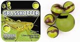 Mega Marbles - GRASSHOPPER MARBLES NET (1 Shooter Marble, 24 Player Marbles & 2 Display Rings)