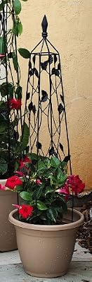 Black Leaves Trellis - Small