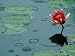 Raindrop Patterns Imitate Lily Pad on Laurel Lake, near Bandon, Oregon, USA Photographic Poster Print