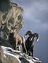A Pair of American Bighorn Sheep on a Ledge Photographic Poster Print by Michael S. Quinton, 42x56