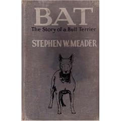 Bat, the story of a bull terrier