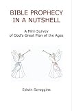 Bible Prophecy in a Nutshell: A Mini-Survey of God's Great Plan of the Ages