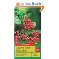 B�ume und Str�ucher: Treffsicher bestimmen in drei Schritten