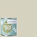 Inspired Eggshell Interior Colorspot Paint Sample, Nourish .01, 8-oz