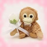 Baby Coco �E�F�f�B���O �}�O�l�b�g �R�R 022912-11 �摜