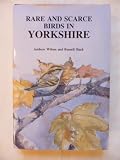 Rare & scarce birds in Yorkshire