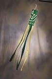 South Florida Collegiate Wind Sock