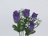 Review   / Dew Drop Rose Bud Bush-Purple