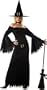 California Costumes Women's Elegant Witch Costume,Black,Medium
