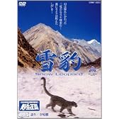 雪豹 Snow Leopard [DVD]