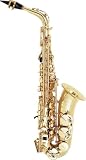 Conn 27M Director Alto Saxophone - B000FCI9HE