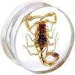 24mm Organic Scorpion Resin Saddle Plug