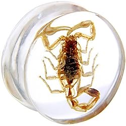 24mm Organic Scorpion Resin Saddle Plug