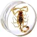 24mm Organic Scorpion Resin Saddle Plug