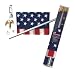 Valley Forge Flag Co 3X5 Nylon Flag Kit W/Pole PFS1-1