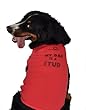 Ruff Ruff and Meow Dog Tank Top, Wiggle When I Walk, Blue, Extra-Small