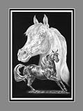 Arabian Horse Art Print - Limited Edition Print