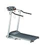 Paradigm Fitness Walking Electric Treadmill