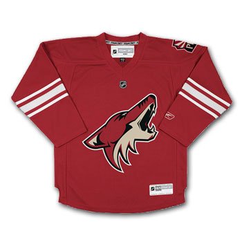 Phoenix Coyotes Reebok Toddler Replica (2-4T) Home NHL Hockey Jersey Size Toddler (2-4T)