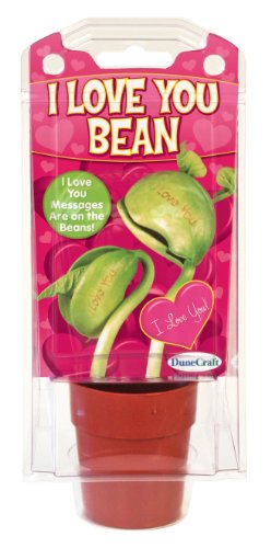 Dunecraft i love you bean science kit