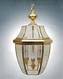 Outdoor Hanging Light with Polished Brass finish